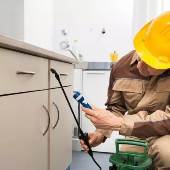 What to do when hiring a pest control service